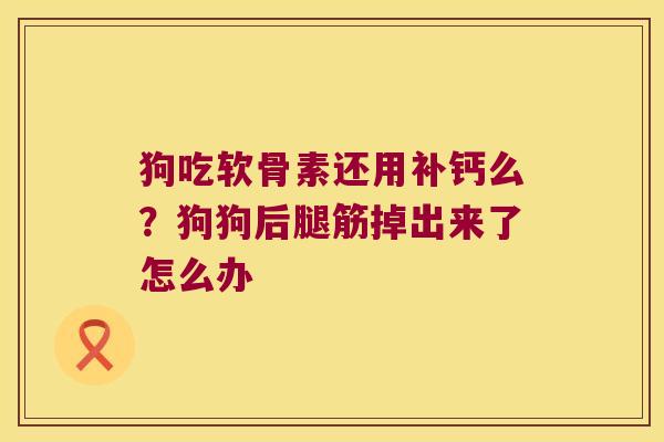 狗吃软骨素还用补钙么？狗狗后腿筋掉出来了怎么办