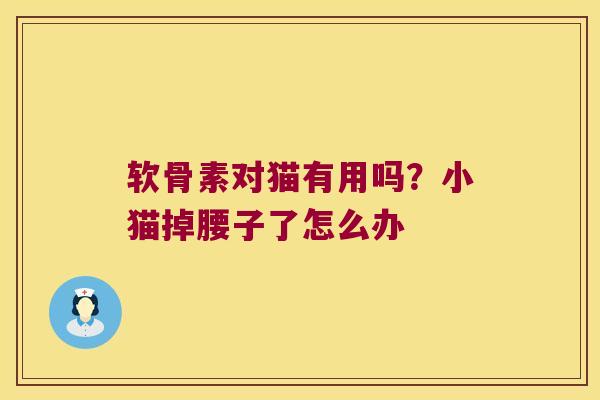 软骨素对猫有用吗？小猫掉腰子了怎么办