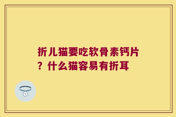 折儿猫要吃软骨素钙片？什么猫容易有折耳