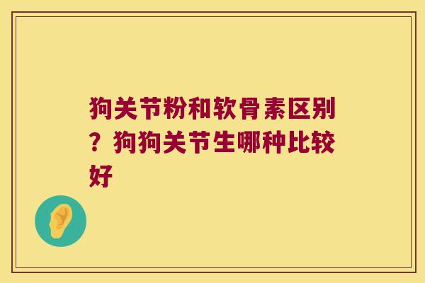 狗关节粉和软骨素区别?狗狗关节生哪种比较好 狗关节粉和软骨素区别?狗狗关节生哪种比较好