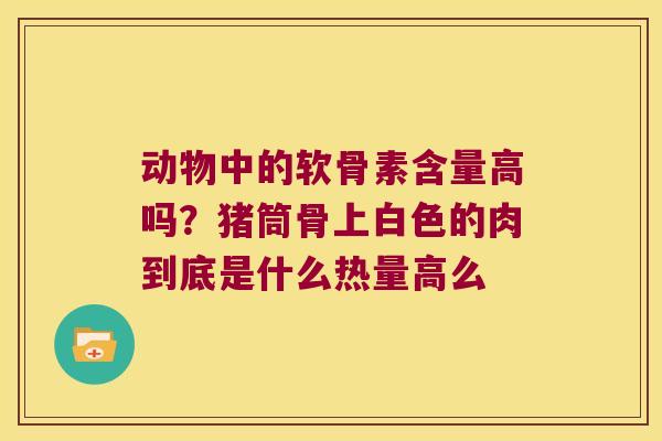 动物中的软骨素含量高吗?猪筒骨上白色的肉到底是什么热量高么 动物中的软骨素含量高吗?猪筒骨上白色的肉到底是什么热量高么
