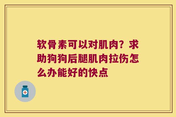 软骨素可以对肌肉?求助狗狗后腿肌肉拉伤怎么办能好的快点 软骨素可以对肌肉?求助狗狗后腿肌肉拉伤怎么办能好的快点