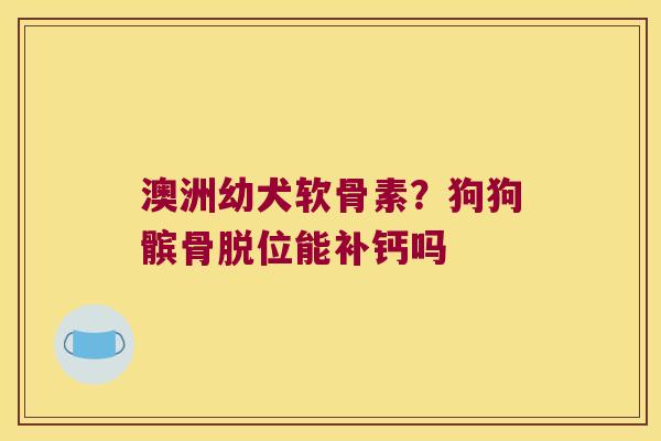 澳洲幼犬软骨素?狗狗髌骨脱位能补钙吗 澳洲幼犬软骨素?狗狗髌骨脱位能补钙吗