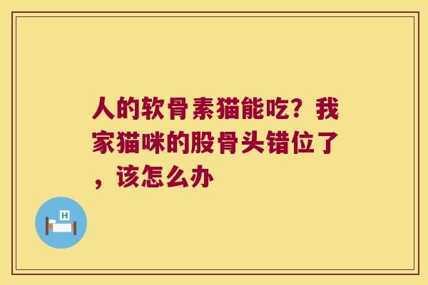 人的软骨素猫能吃？我家猫咪的股骨头错位了，该怎么办