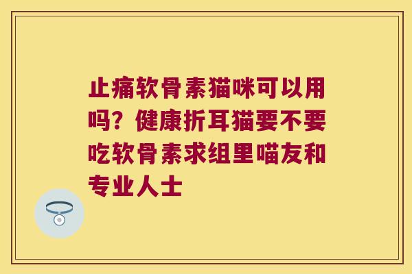 软骨素猫咪可以用吗?健康折耳猫要不要吃软骨素求组里喵友和专业人士 软骨素猫咪可以用吗?健康折耳猫要不要吃软骨素求组里喵友和专业人士