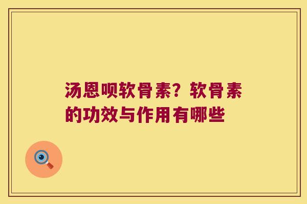 汤恩呗软骨素?软骨素的功效与作用有哪些 汤恩呗软骨素?软骨素的功效与作用有哪些