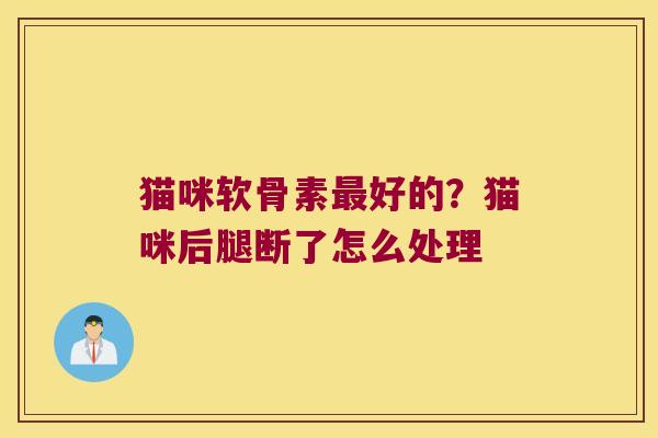 猫咪软骨素好的?猫咪后腿断了怎么处理 猫咪软骨素好的?猫咪后腿断了怎么处理