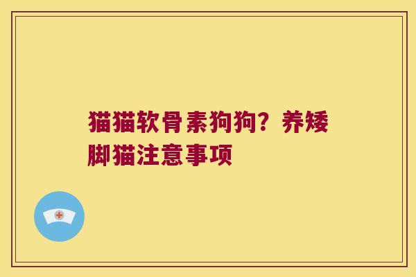 猫猫软骨素狗狗？养矮脚猫注意事项