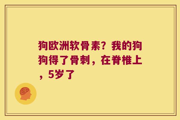 狗欧洲软骨素？我的狗狗得了，在脊椎上，5岁了