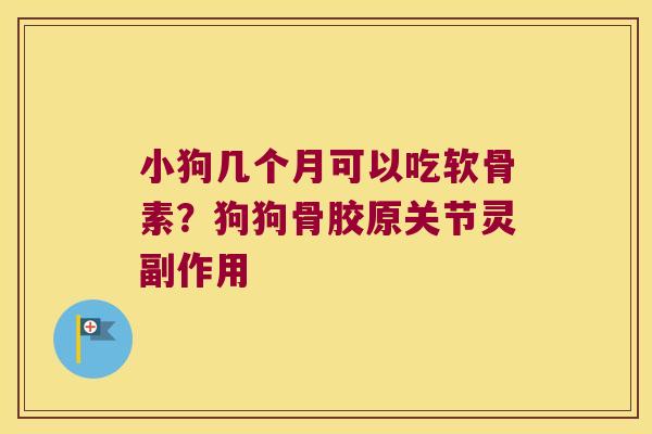 小狗几个月可以吃软骨素?狗狗骨胶原关节灵副作用 小狗几个月可以吃软骨素?狗狗骨胶原关节灵副作用