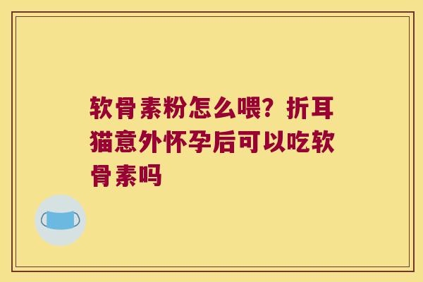 软骨素粉怎么喂?折耳猫意外怀孕后可以吃软骨素吗 软骨素粉怎么喂?折耳猫意外怀孕后可以吃软骨素吗