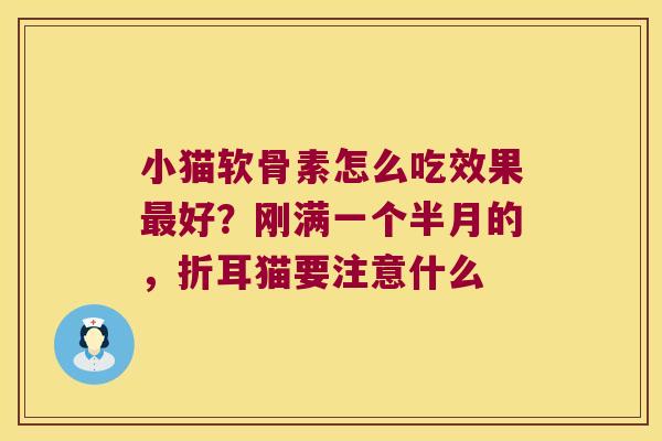 小猫软骨素怎么吃效果好?刚满一个半月的,折耳猫要注意什么 小猫软骨素怎么吃效果好?刚满一个半月的,折耳猫要注意什么