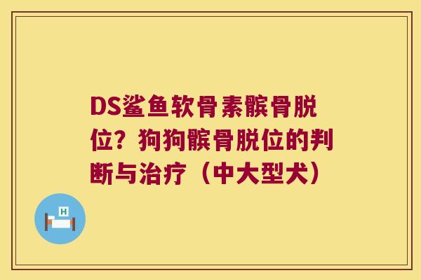 DS鲨鱼软骨素髌骨脱位?狗狗髌骨脱位的判断与(中大型犬) DS鲨鱼软骨素髌骨脱位?狗狗髌骨脱位的判断与(中大型犬)