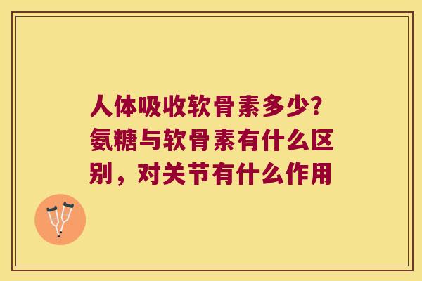 人体吸收软骨素多少？氨糖与软骨素有什么区别，对关节有什么作用