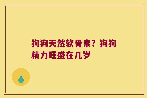 狗狗天然软骨素?狗狗精力旺盛在几岁 狗狗天然软骨素?狗狗精力旺盛在几岁