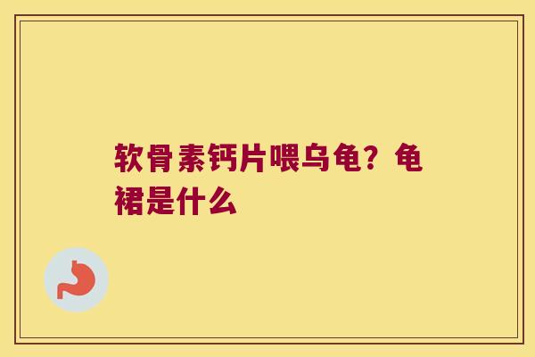 软骨素钙片喂乌龟?龟裙是什么 软骨素钙片喂乌龟?龟裙是什么