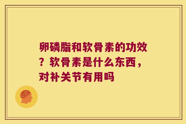 卵磷脂和软骨素的功效?软骨素是什么东西,对补关节有用吗 卵磷脂和软骨素的功效?软骨素是什么东西,对补关节有用吗