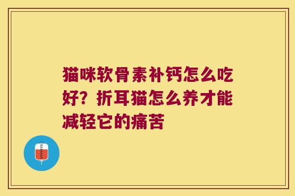 猫咪软骨素补钙怎么吃好?折耳猫怎么养才能减轻它的痛苦 猫咪软骨素补钙怎么吃好?折耳猫怎么养才能减轻它的痛苦