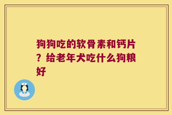 狗狗吃的软骨素和钙片？给老年犬吃什么狗粮好