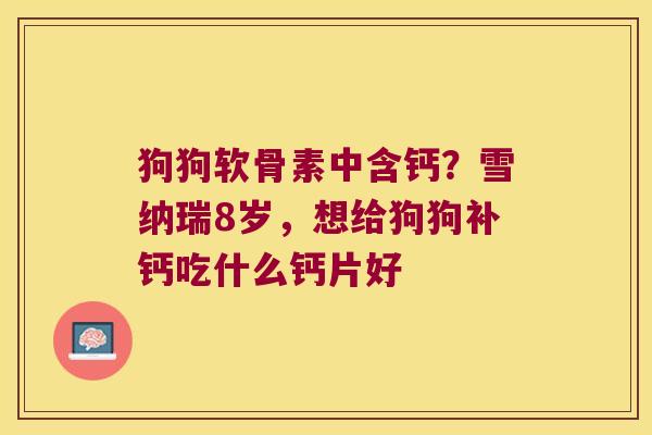 狗狗软骨素中含钙？雪纳瑞8岁，想给狗狗补钙吃什么钙片好