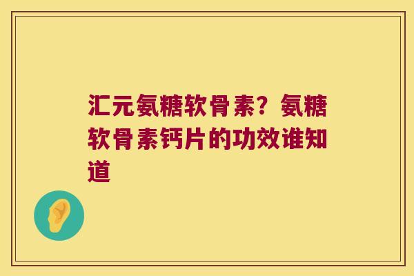 汇元氨糖软骨素？氨糖软骨素钙片的功效谁知道