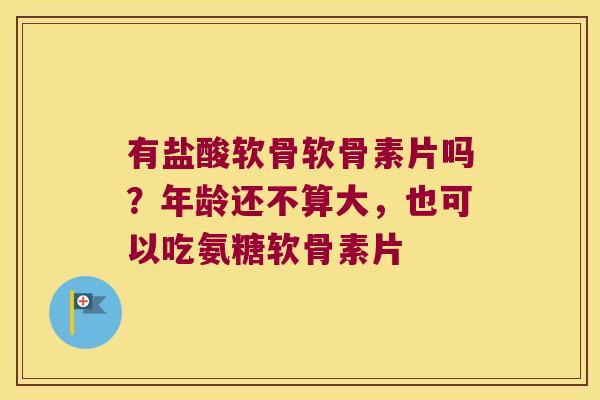 有盐酸软骨软骨素片吗?年龄还不算大,也可以吃氨糖软骨素片 有盐酸软骨软骨素片吗?年龄还不算大,也可以吃氨糖软骨素片