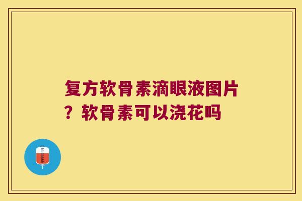 复方软骨素滴眼液图片？软骨素可以浇花吗