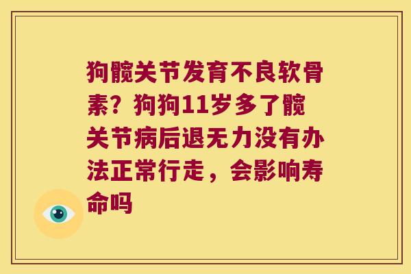 狗髋关节发育不良软骨素？狗狗11岁多了髋关节后退无力没有办法正常行走，会影响寿命吗