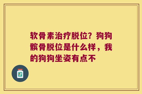 软骨素脱位？狗狗髌骨脱位是什么样，我的狗狗坐姿有点不