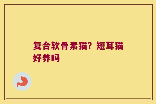 复合软骨素猫?短耳猫好养吗 复合软骨素猫?短耳猫好养吗
