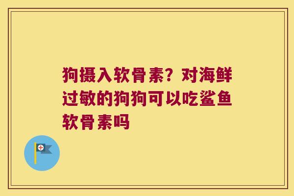 狗摄入软骨素？对海鲜的狗狗可以吃鲨鱼软骨素吗