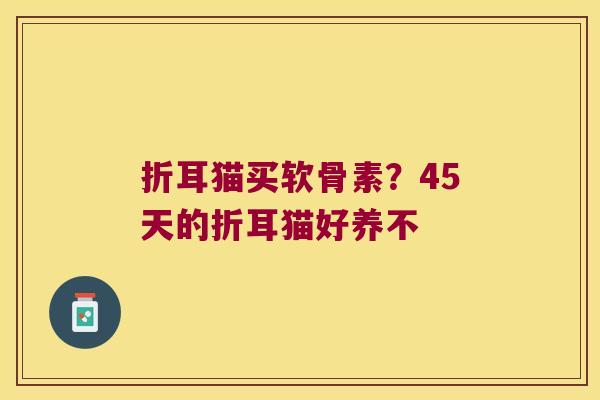 折耳猫买软骨素？45天的折耳猫好养不