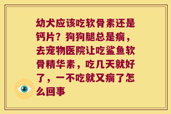 幼犬应该吃软骨素还是钙片?狗狗腿总是瘸,去宠物医院让吃鲨鱼软骨精华素,吃几天就好了,一不吃就又瘸了怎么回事 幼犬应该吃软骨素还是钙片?狗狗腿总是瘸,去宠物医院让吃鲨鱼软骨精华素,吃几天就好了,一不吃就又瘸了怎么回事
