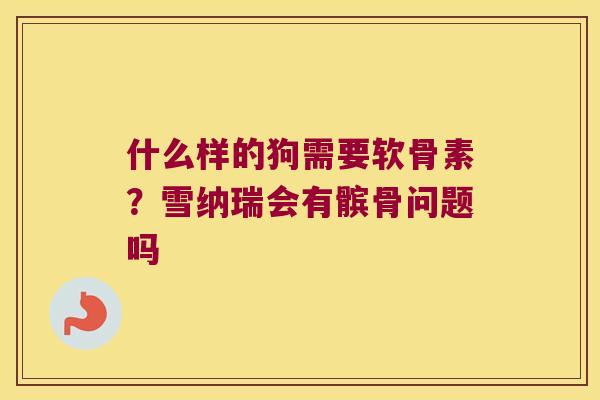 什么样的狗需要软骨素?雪纳瑞会有髌骨问题吗 什么样的狗需要软骨素?雪纳瑞会有髌骨问题吗