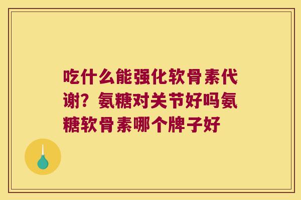 吃什么能强化软骨素代谢？氨糖对关节好吗氨糖软骨素哪个牌子好