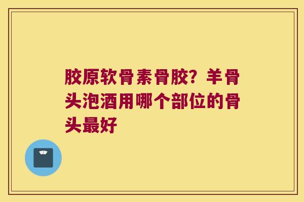 胶原软骨素骨胶?羊骨头泡酒用哪个部位的骨头好 胶原软骨素骨胶?羊骨头泡酒用哪个部位的骨头好