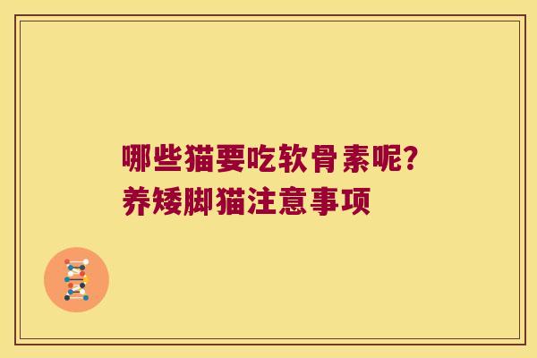 哪些猫要吃软骨素呢？养矮脚猫注意事项