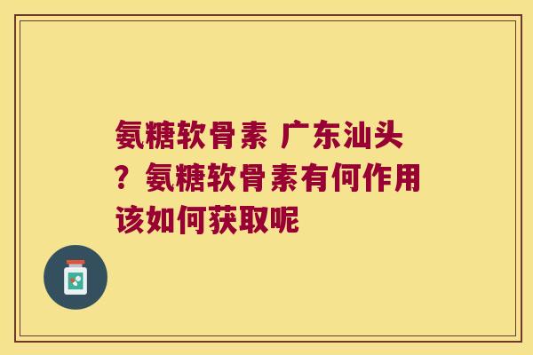 氨糖软骨素 广东汕头？氨糖软骨素有何作用该如何获取呢