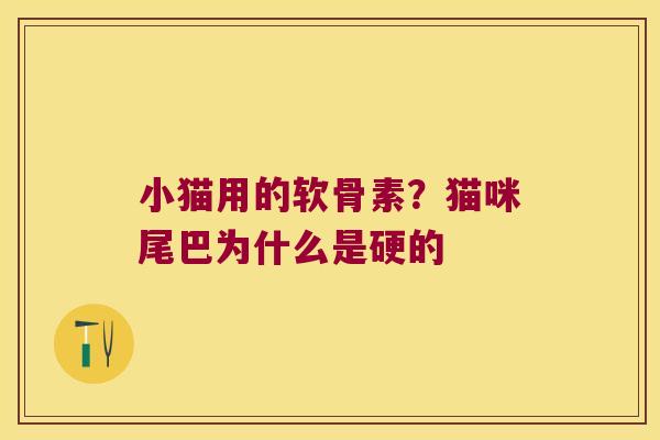 小猫用的软骨素？猫咪尾巴为什么是硬的