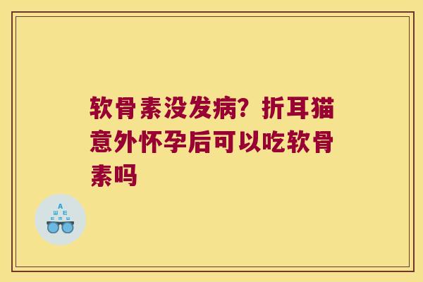 软骨素没发?折耳猫意外怀孕后可以吃软骨素吗 软骨素没发?折耳猫意外怀孕后可以吃软骨素吗