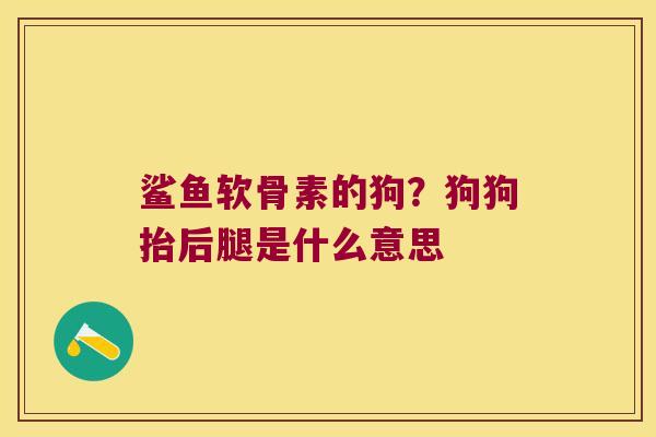 鲨鱼软骨素的狗?狗狗抬后腿是什么意思 鲨鱼软骨素的狗?狗狗抬后腿是什么意思