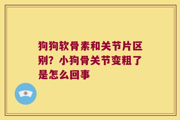 狗狗软骨素和关节片区别？小狗骨关节变粗了是怎么回事