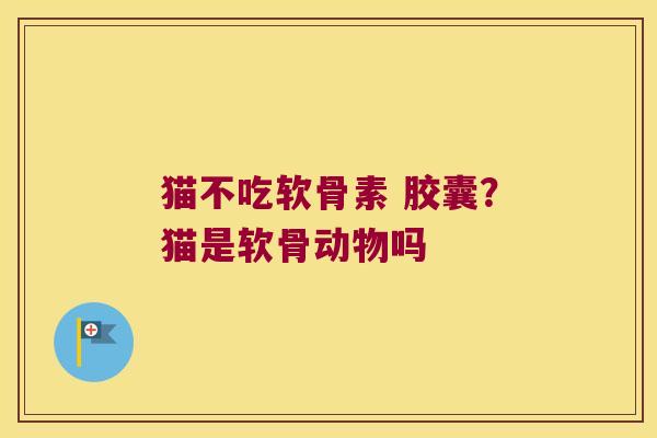 猫不吃软骨素 胶囊？猫是软骨动物吗