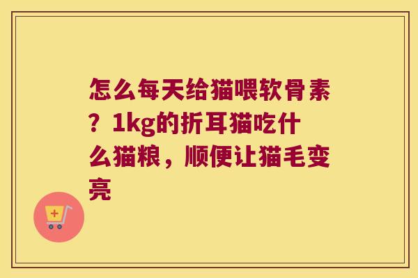 怎么每天给猫喂软骨素？1kg的折耳猫吃什么猫粮，顺便让猫毛变亮