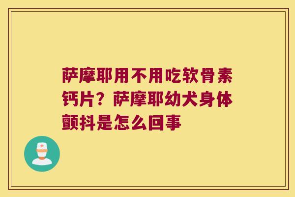 萨摩耶用不用吃软骨素钙片?萨摩耶幼犬身体颤抖是怎么回事 萨摩耶用不用吃软骨素钙片?萨摩耶幼犬身体颤抖是怎么回事