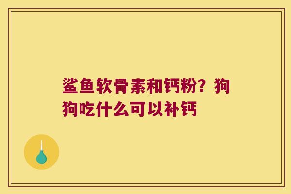 鲨鱼软骨素和钙粉?狗狗吃什么可以补钙 鲨鱼软骨素和钙粉?狗狗吃什么可以补钙