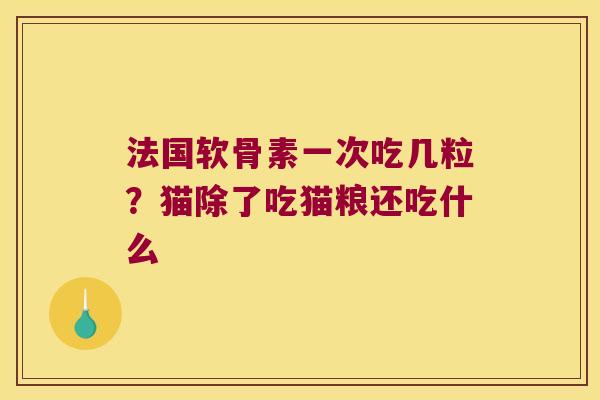 法国软骨素一次吃几粒？猫除了吃猫粮还吃什么