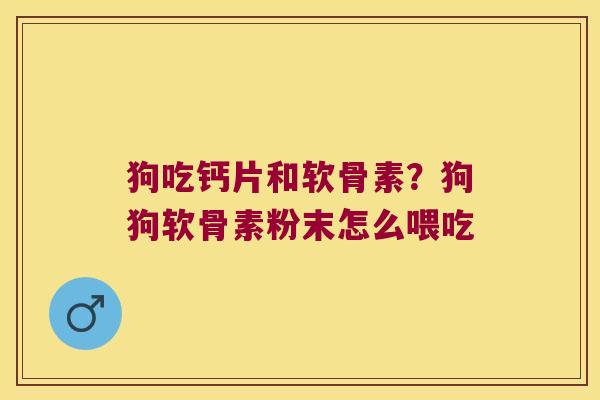狗吃钙片和软骨素？狗狗软骨素粉末怎么喂吃