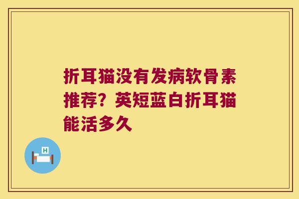 折耳猫没有发软骨素推荐？英短蓝白折耳猫能活多久