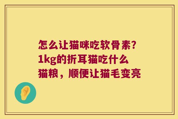 怎么让猫咪吃软骨素?1kg的折耳猫吃什么猫粮,顺便让猫毛变亮 怎么让猫咪吃软骨素?1kg的折耳猫吃什么猫粮,顺便让猫毛变亮